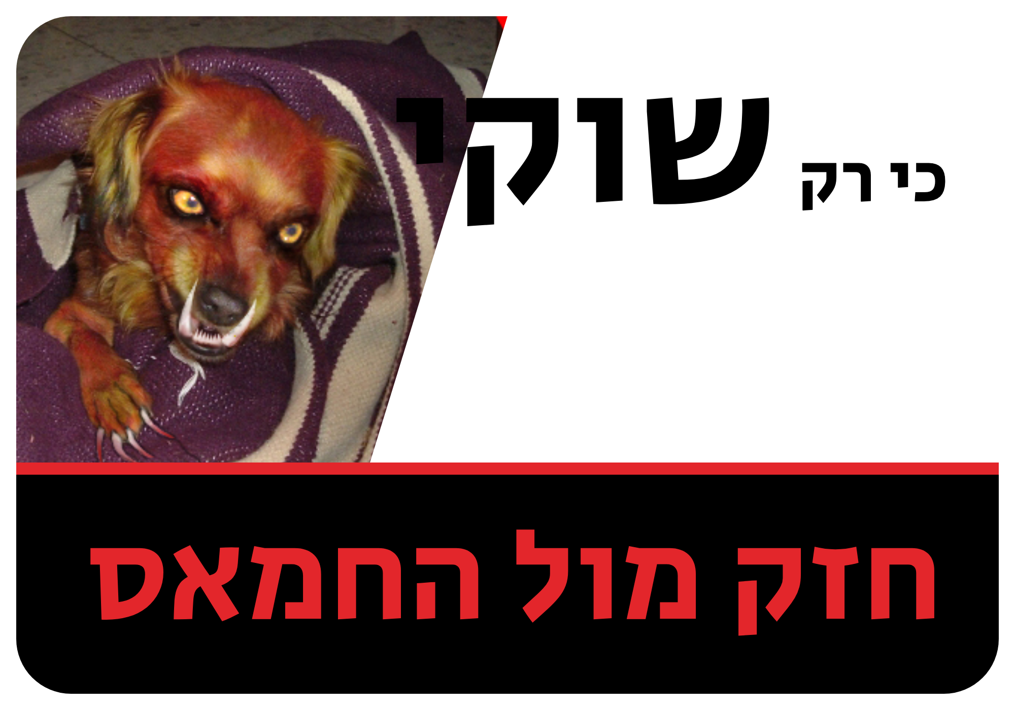 סטיקר: כי רק שוקי: חזק מול החמאס