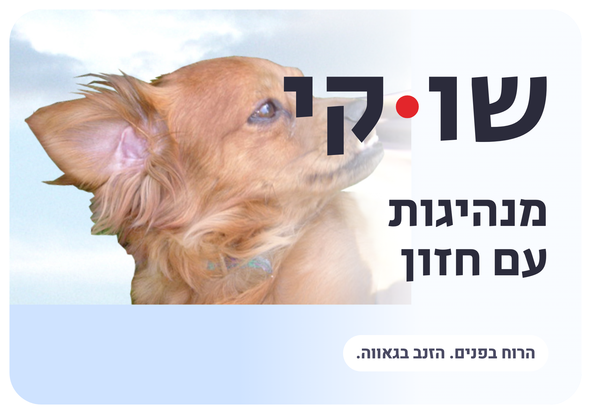 סטיקר: שוקי: מנהיגות עם חזון