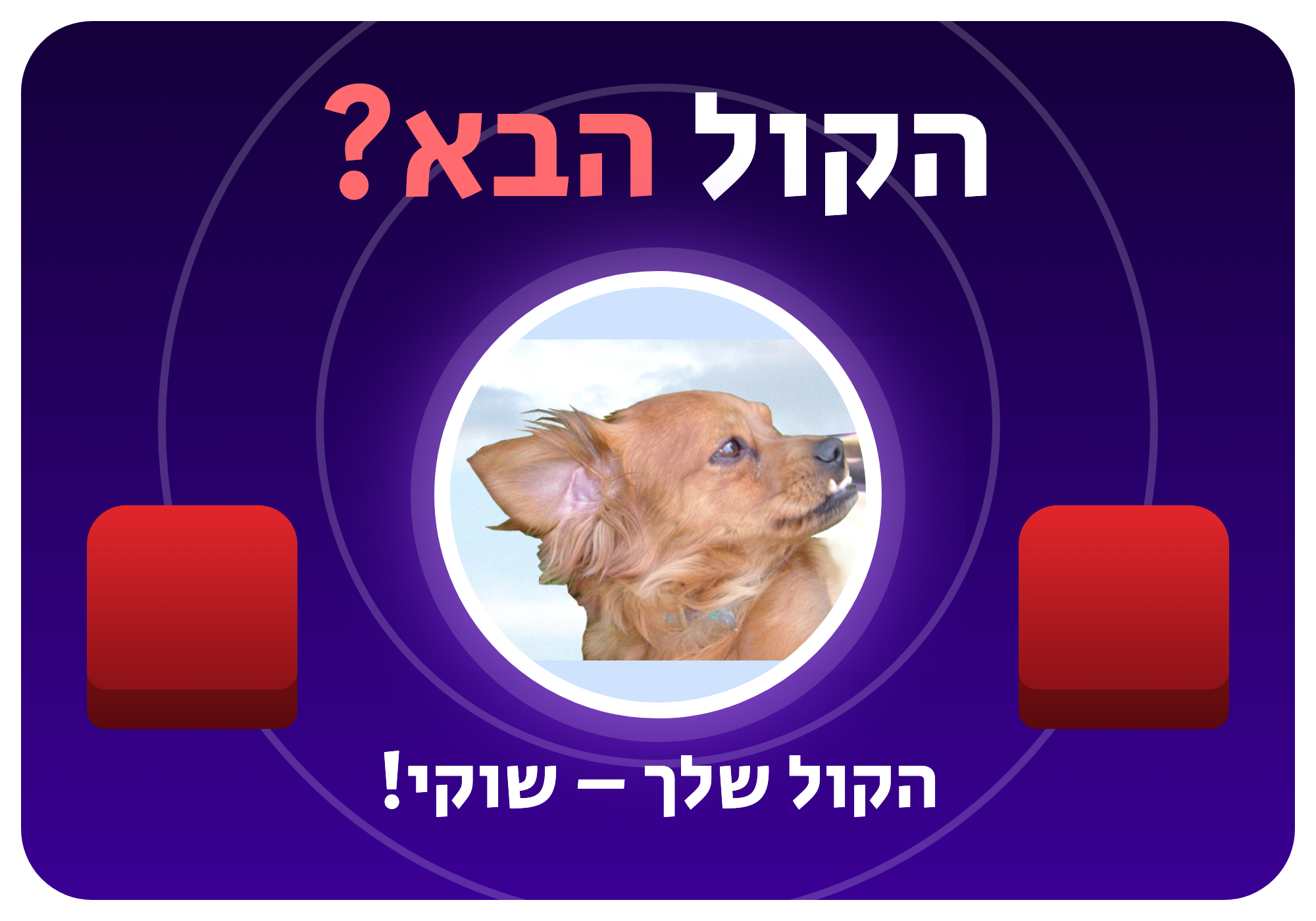 סטיקר: 