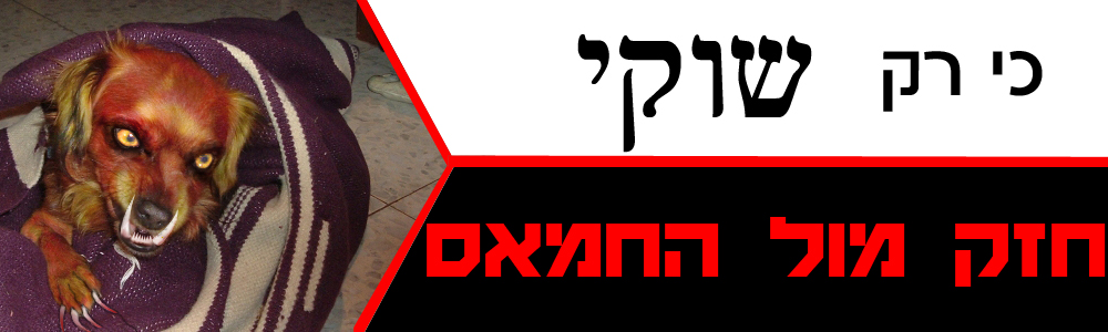 כי רק שוקי: חזק מול החמאס (מהארכיון)